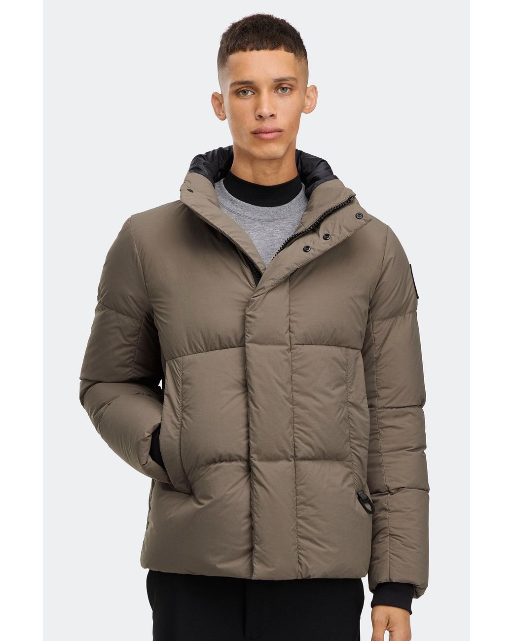 Canada Goose Brown Everett Puffer for men