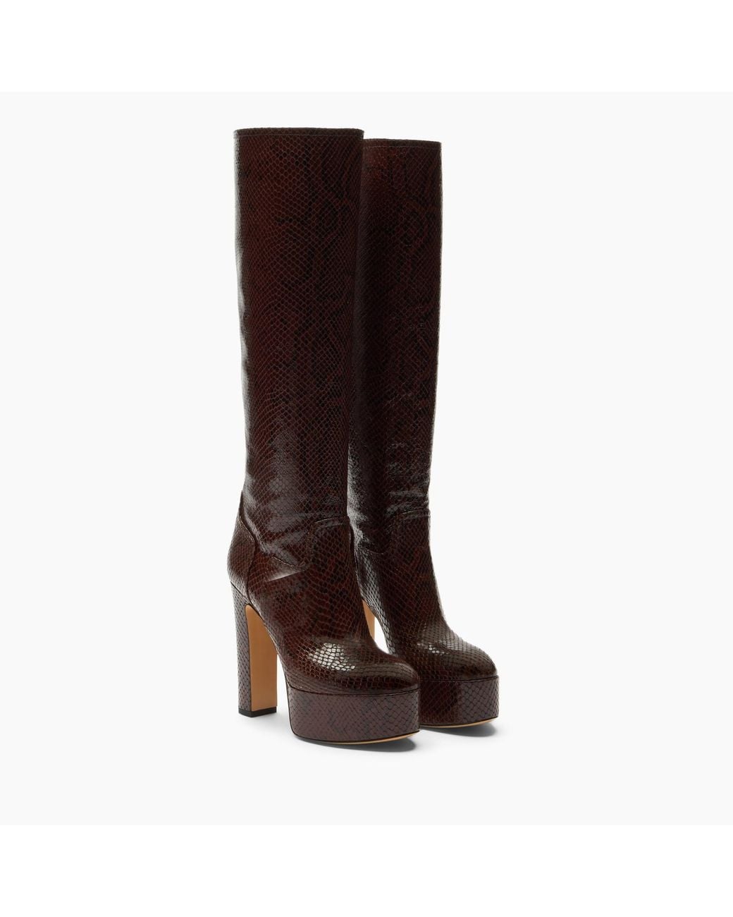 Casadei Brown Patty Basilisco Boot
