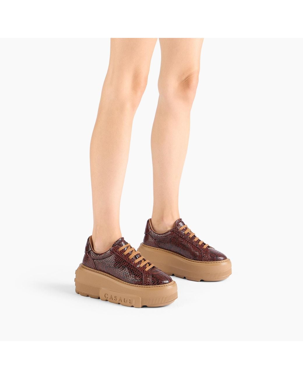 Casadei Brown Nexus Basilisco Sneaker
