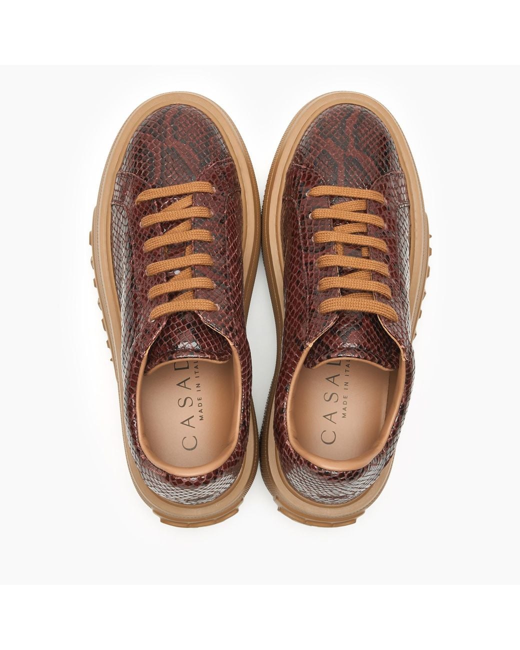 Casadei Brown Nexus Basilisco Sneaker