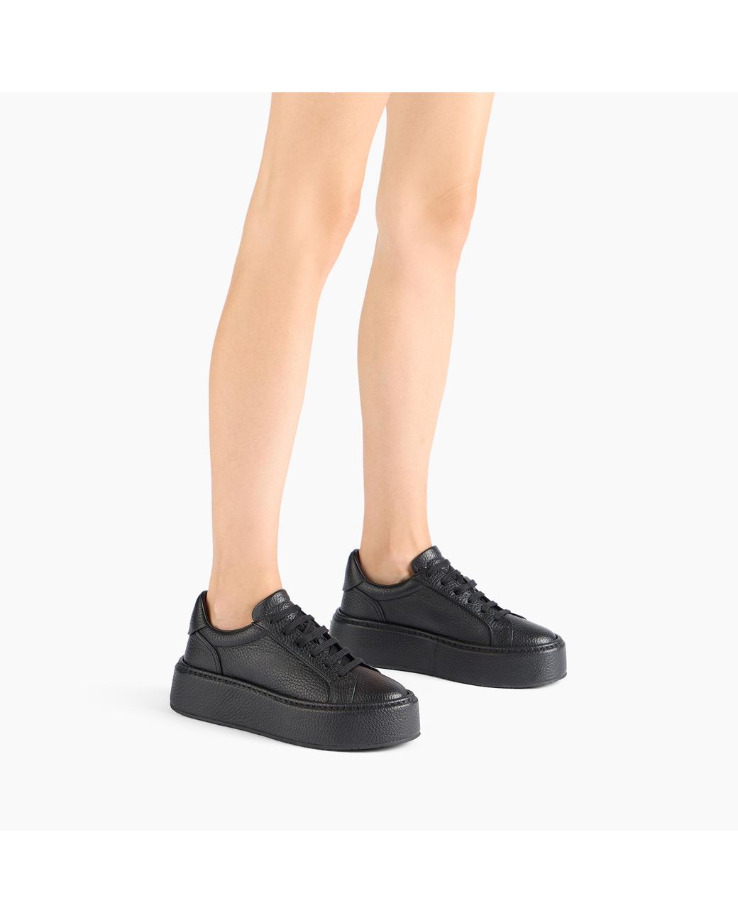 Casadei Black High Box Sneaker