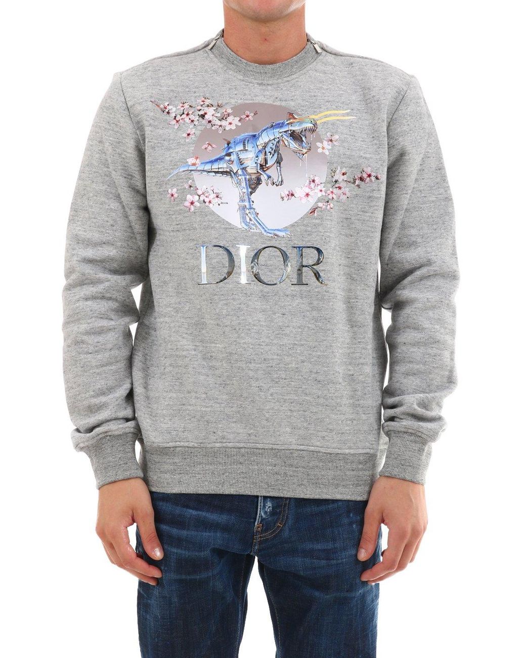 Dior Homme Sorayama Dinosaur Print Sweatshirt in Gray for Men | Lyst