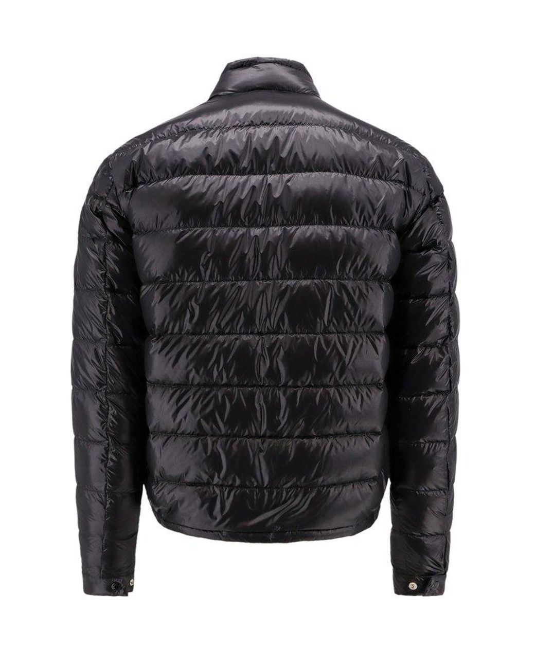 Moncler acorus sale deals