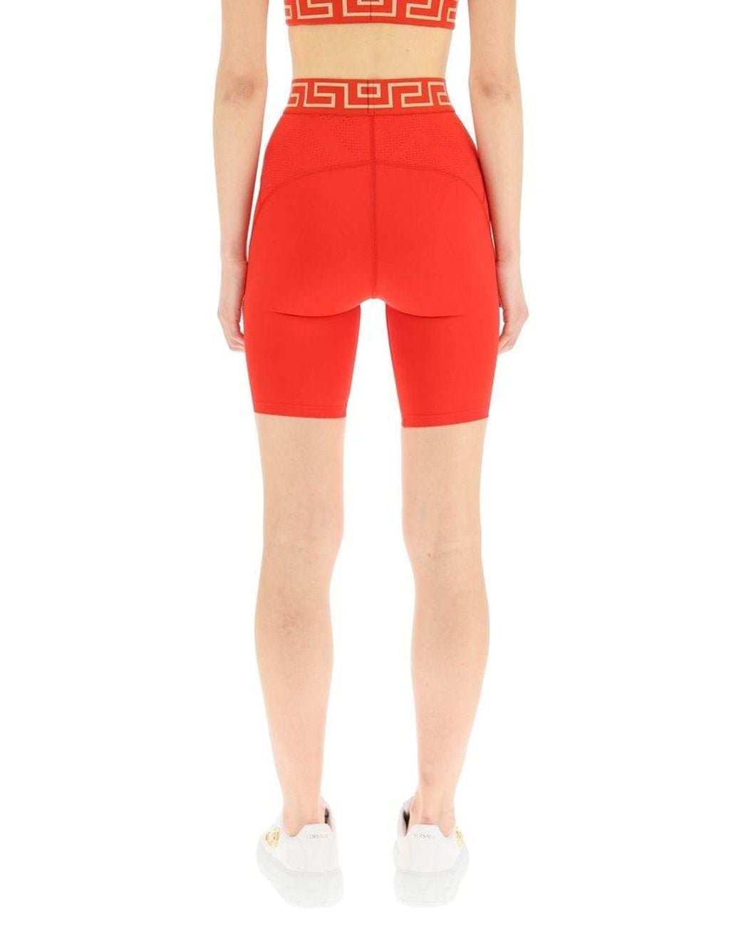 Versace Synthetic Greca Border Knee 