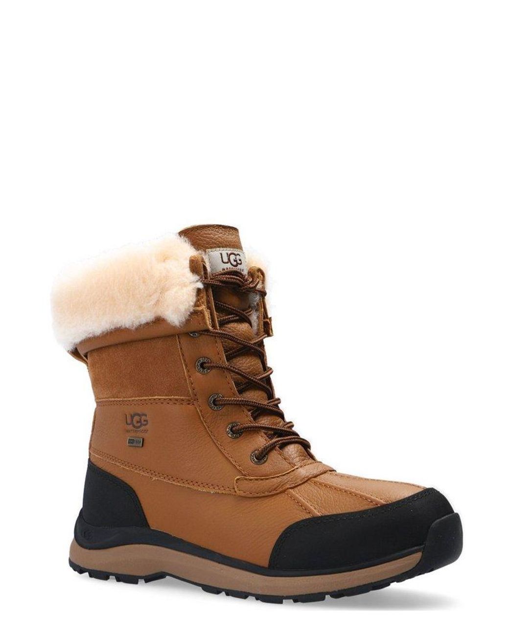 Ugg addie high top on sale sneaker