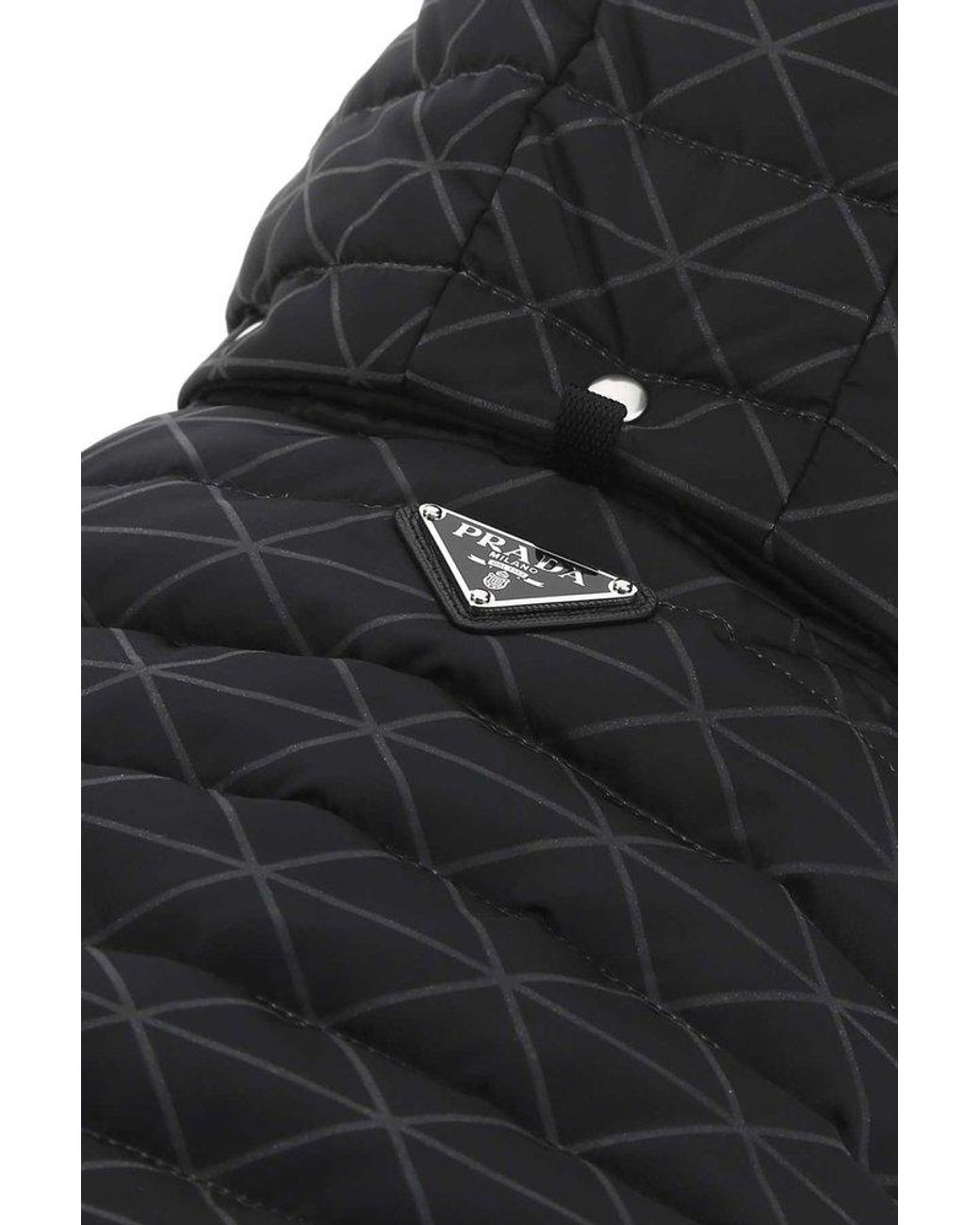 Total 111+ imagen dog prada jacket Viaterra.mx