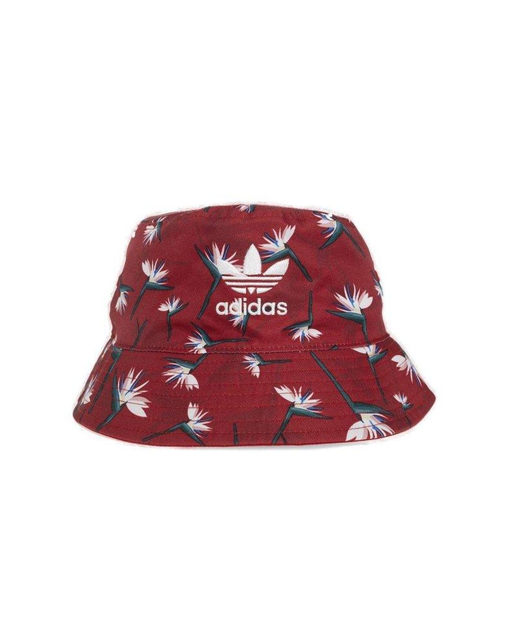 Snapback shop adidas original