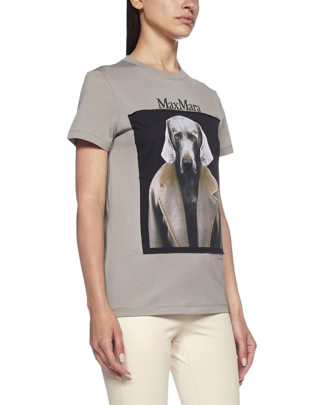 Max Mara Dog Star Cotton T-shirt in Gray | Lyst Max Mara Dog Star Cotton T-shirt in Gray | Lyst