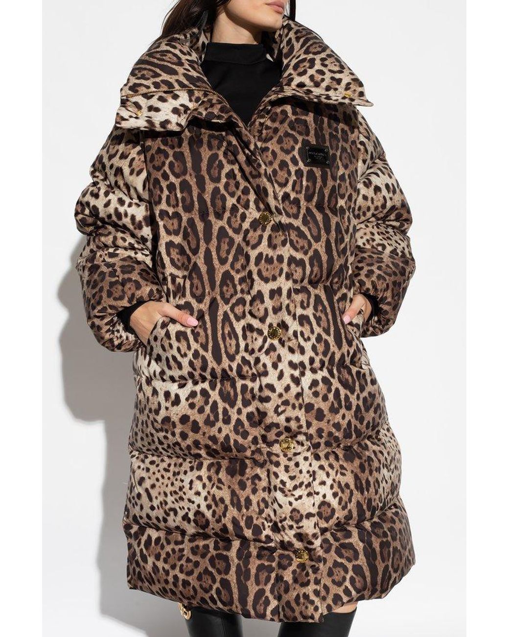 Dolce and gabbana shop leopard coat