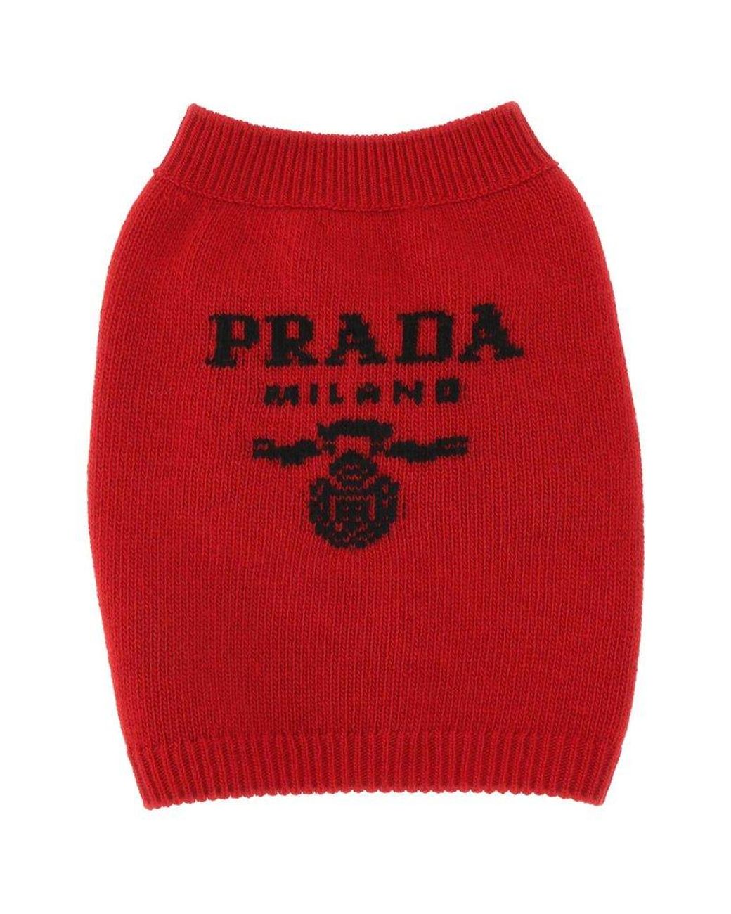Prada Logo-intarsia Dog Sweater in Red | Lyst