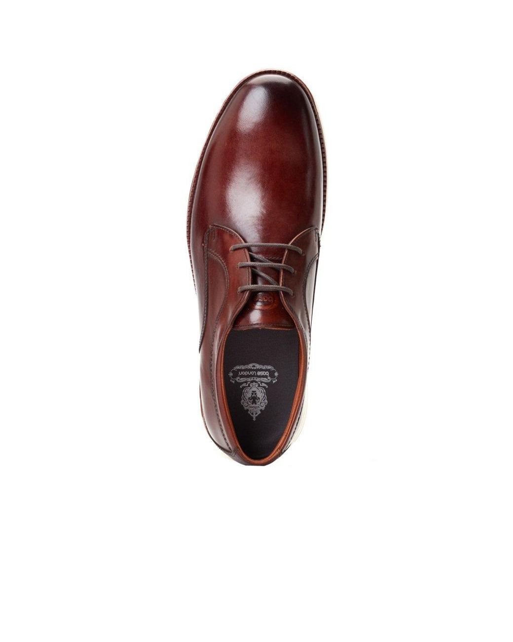 Base London Brown Wing Derby Shoes for men