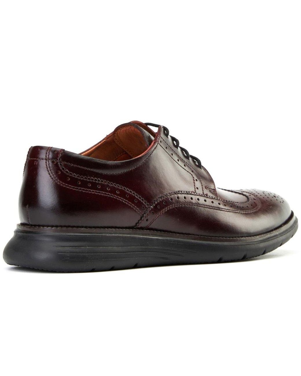 Base London Brown Flight 25 Brogue for men