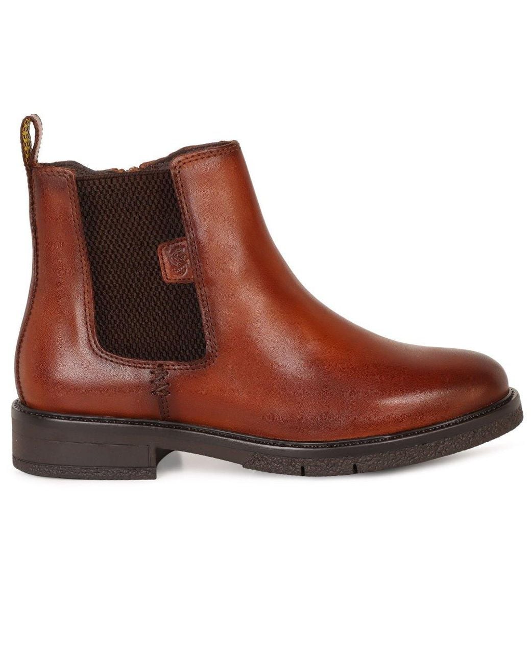 Salamander Brown Bebra Chelsea Boots