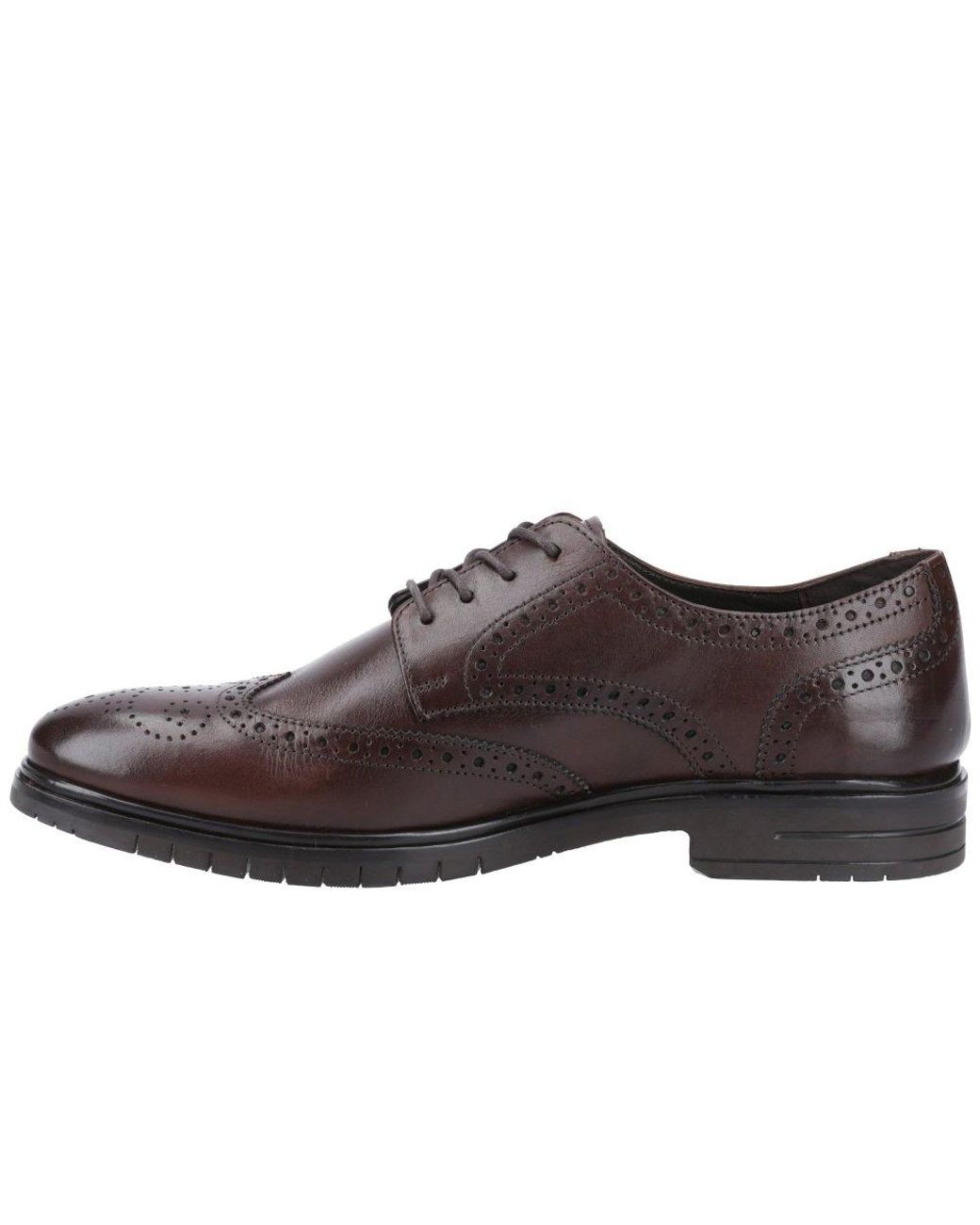 Hush Puppies Brown Santiago Brogues for men