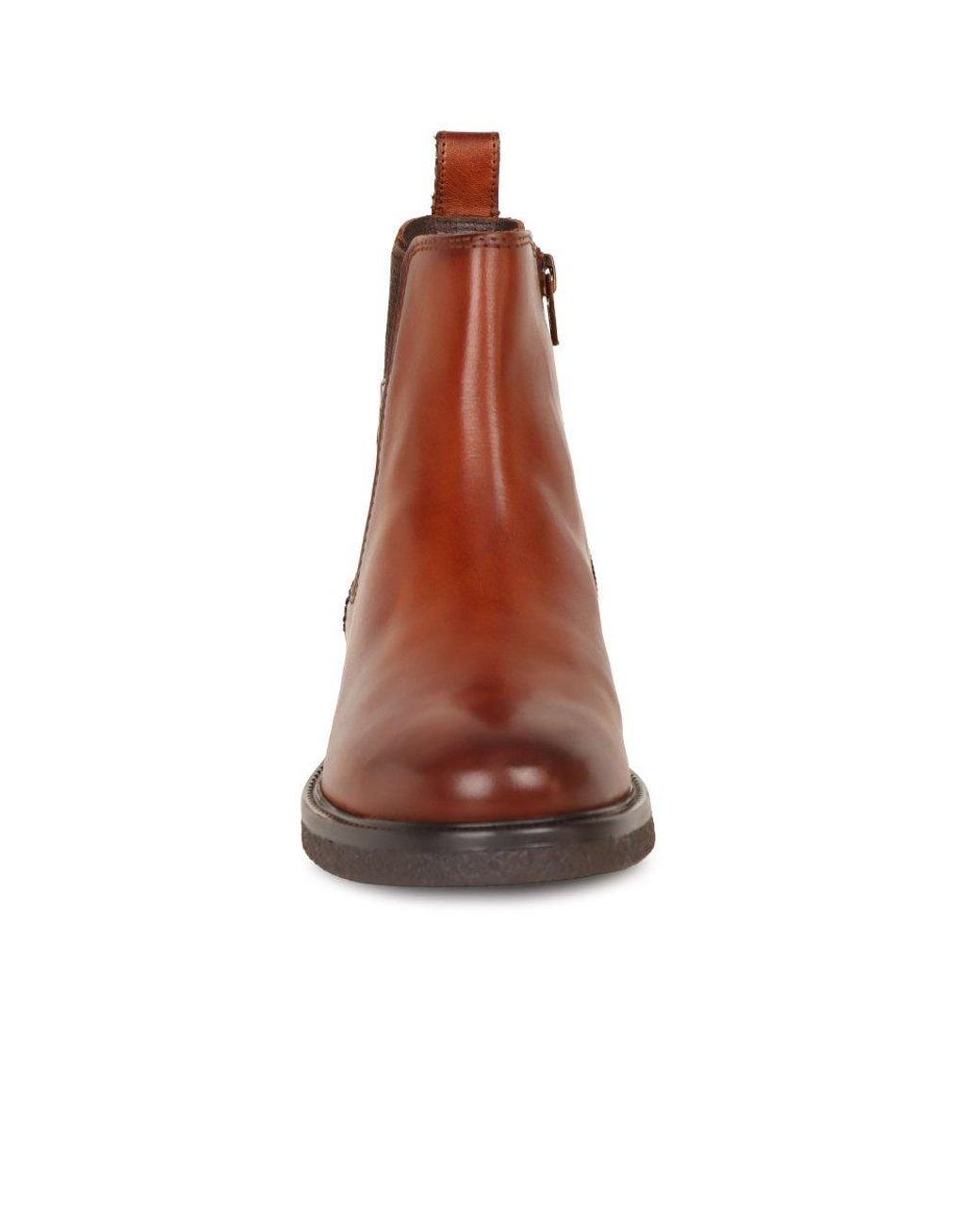Salamander Brown Bebra Chelsea Boots