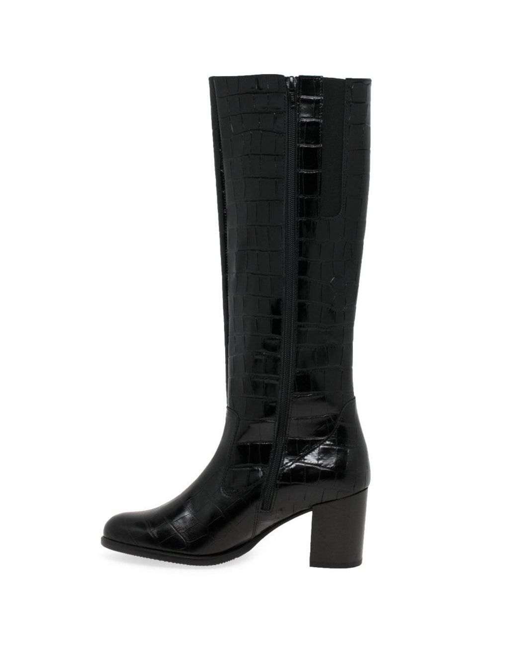 gabor knee high boots