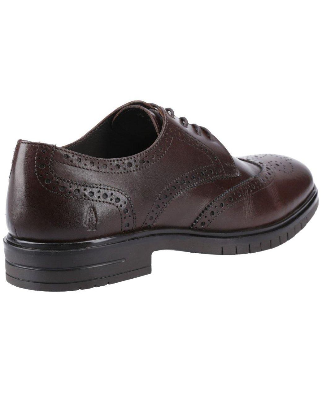 Hush Puppies Brown Santiago Brogues for men