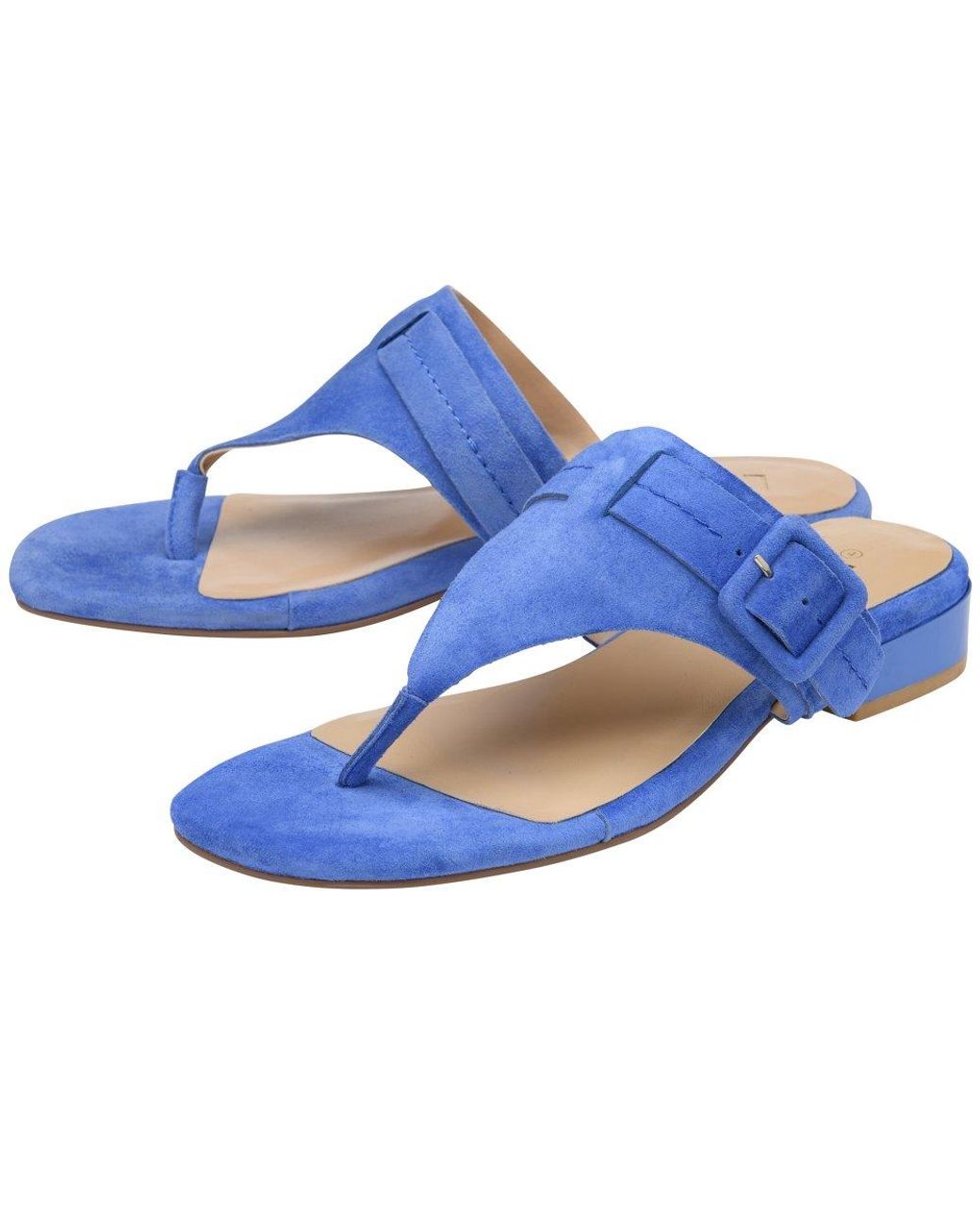 Lotus Blue Vittoria Toe Post Sandals