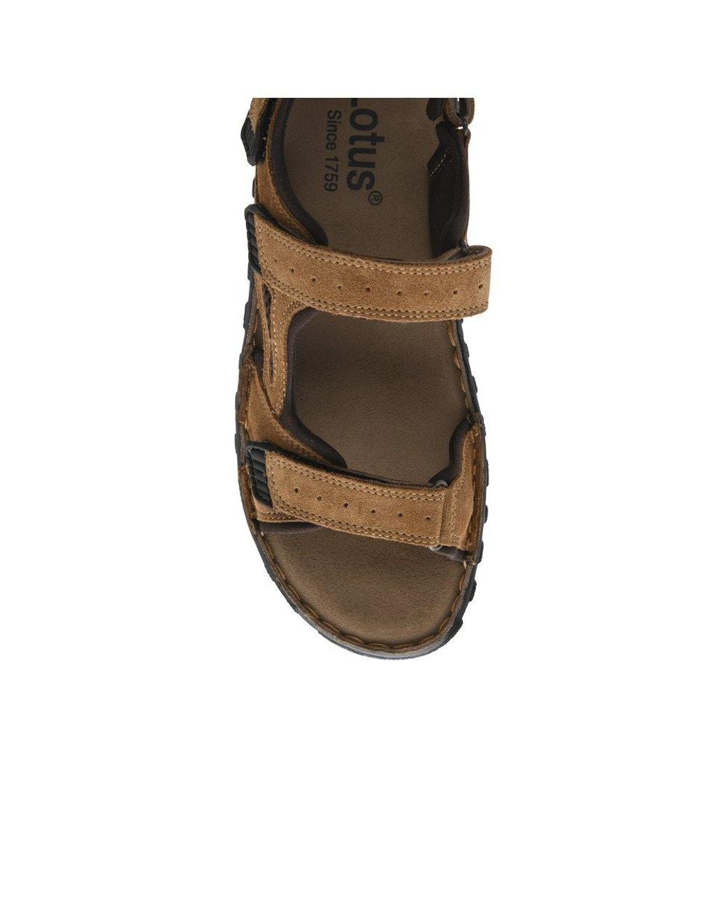 Lotus Brown Serres Sandals for men