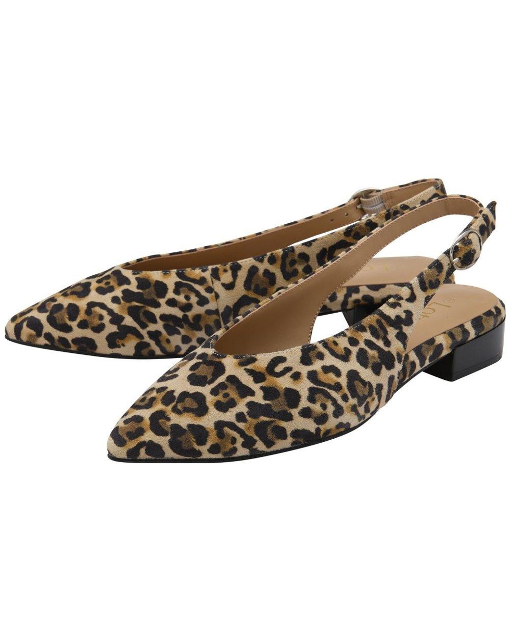 Lotus Metallic Morton Pumps
