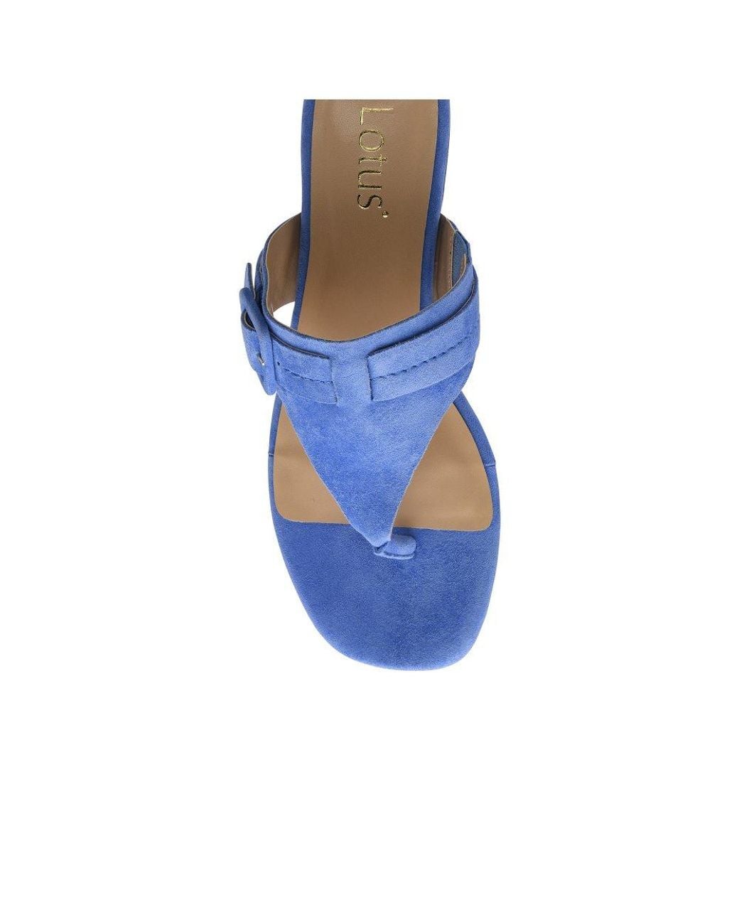Lotus Blue Vittoria Toe Post Sandals
