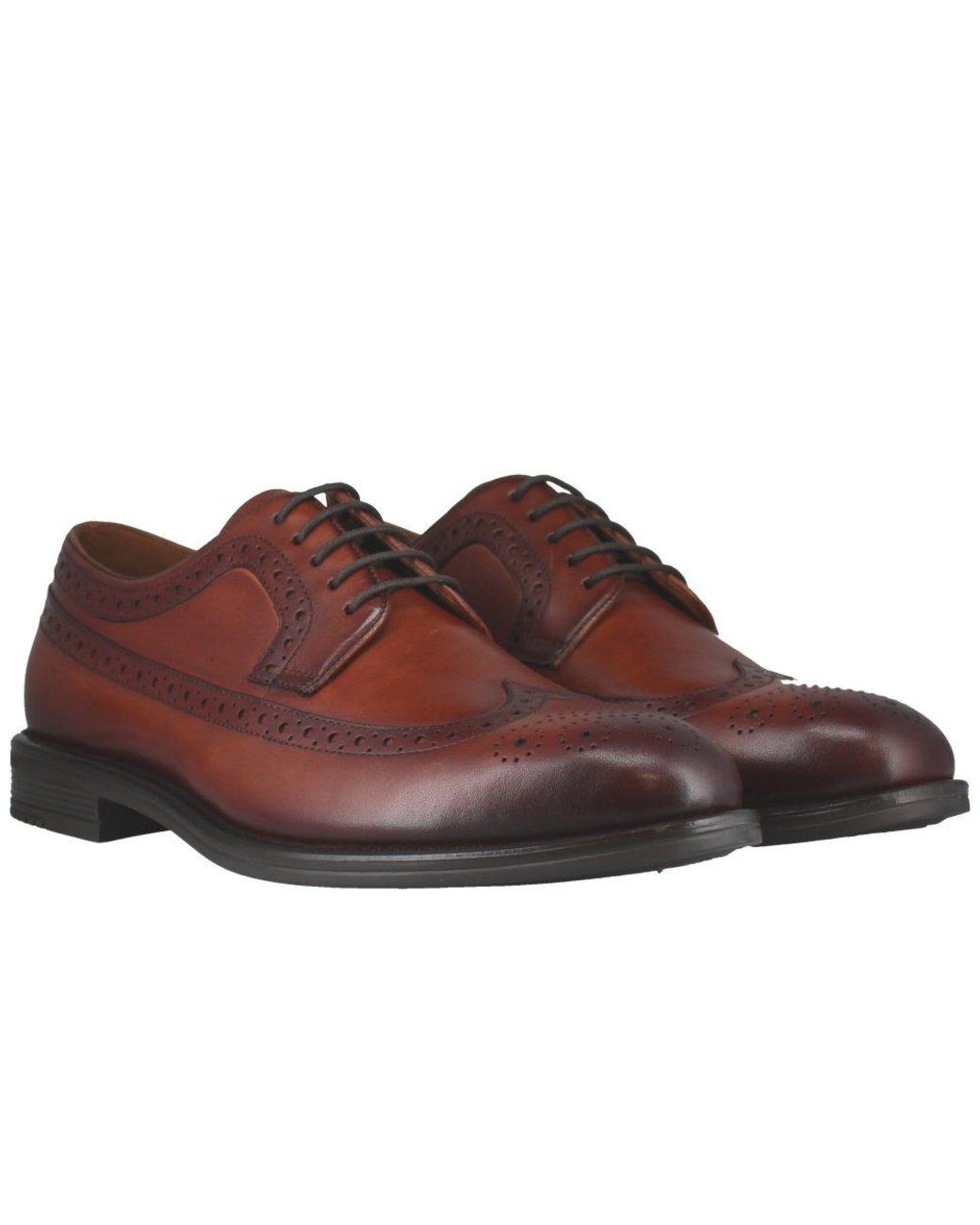 Josef Seibel Brown Cedric 05 Brogues for men