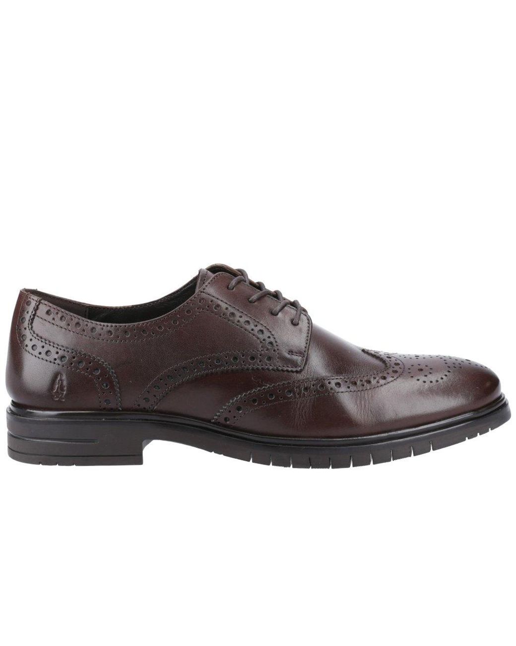 Hush Puppies Brown Santiago Brogues for men