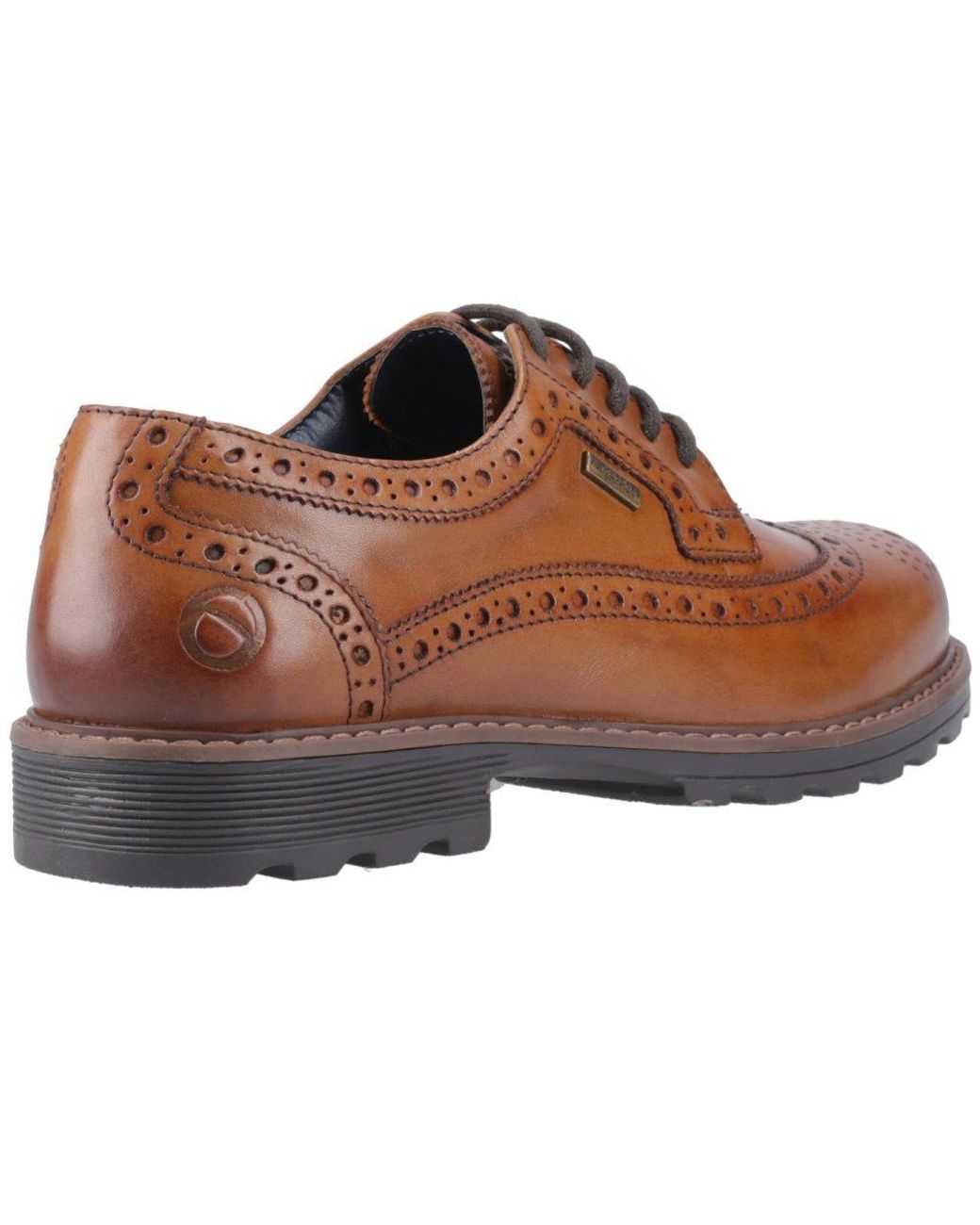 Cotswold Brown Ramsen Brogues for men