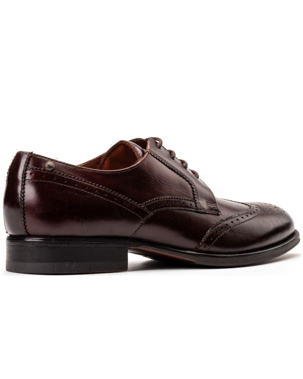 Base London Brown Bell Brogue Shoes for men