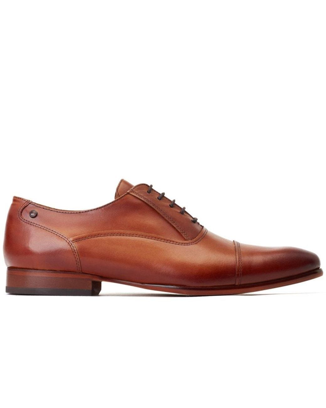 Base London Brown Angelo Derby Shoes for men