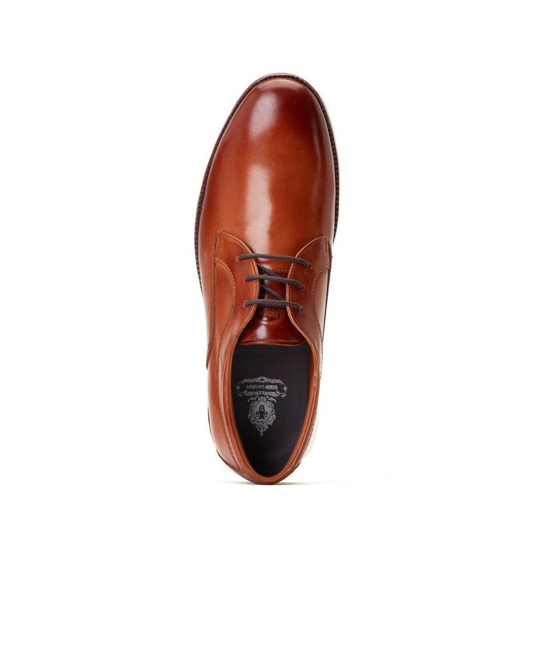 Base London Brown Wing Derby Shoes for men