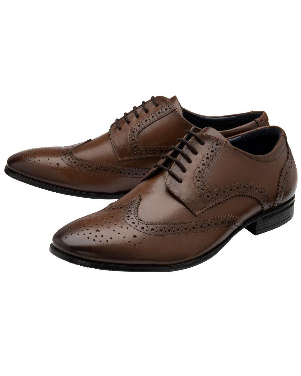 Lotus Brown Easton Brogues for men