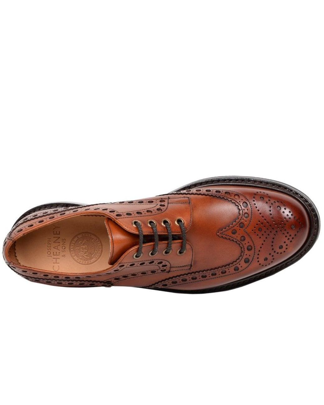 Cheaney Brown Avon Wingcap Brogue Shoe - Dark Leaf Calf Le for men