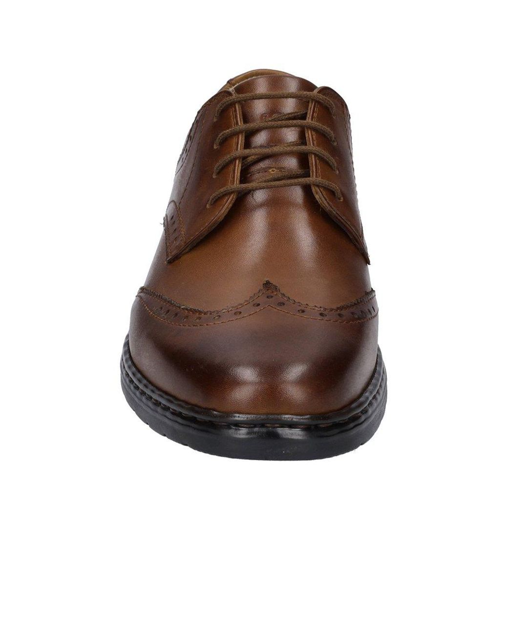 Josef Seibel Brown Alastair 14 Brogues for men
