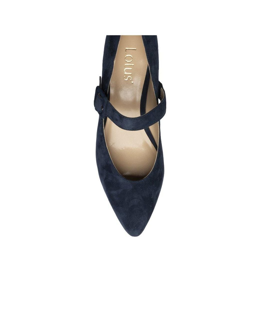 Lotus Blue Verbena Mary Jane Pumps
