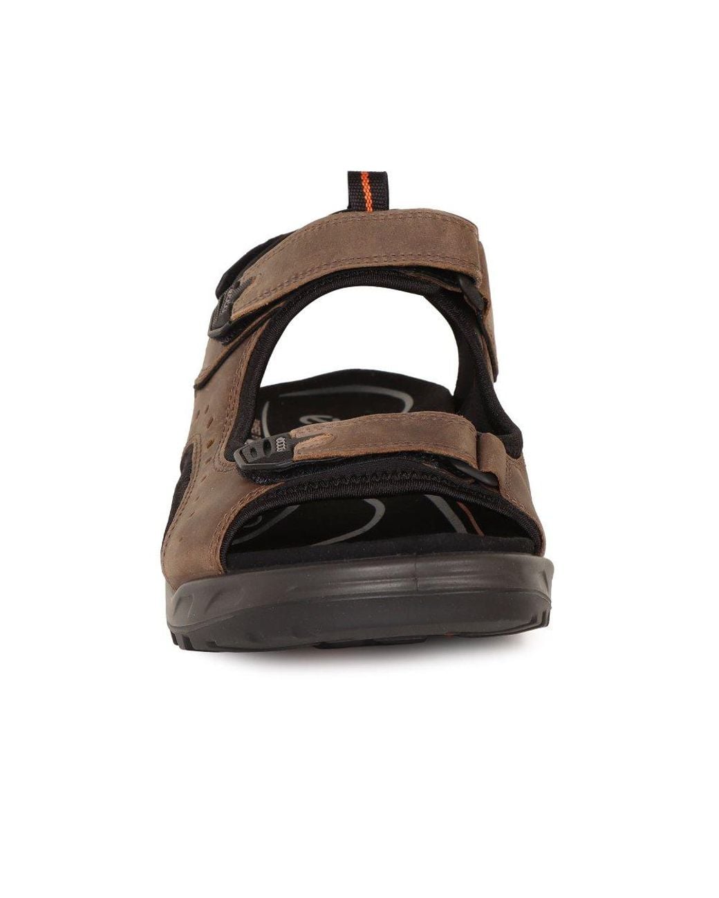 Ecco Brown Trail Casual Sandals for men