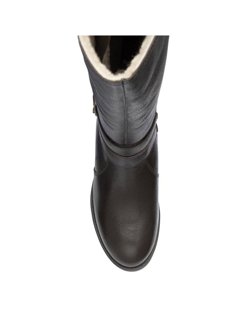 Lotus Black Lindy Knee High Boots
