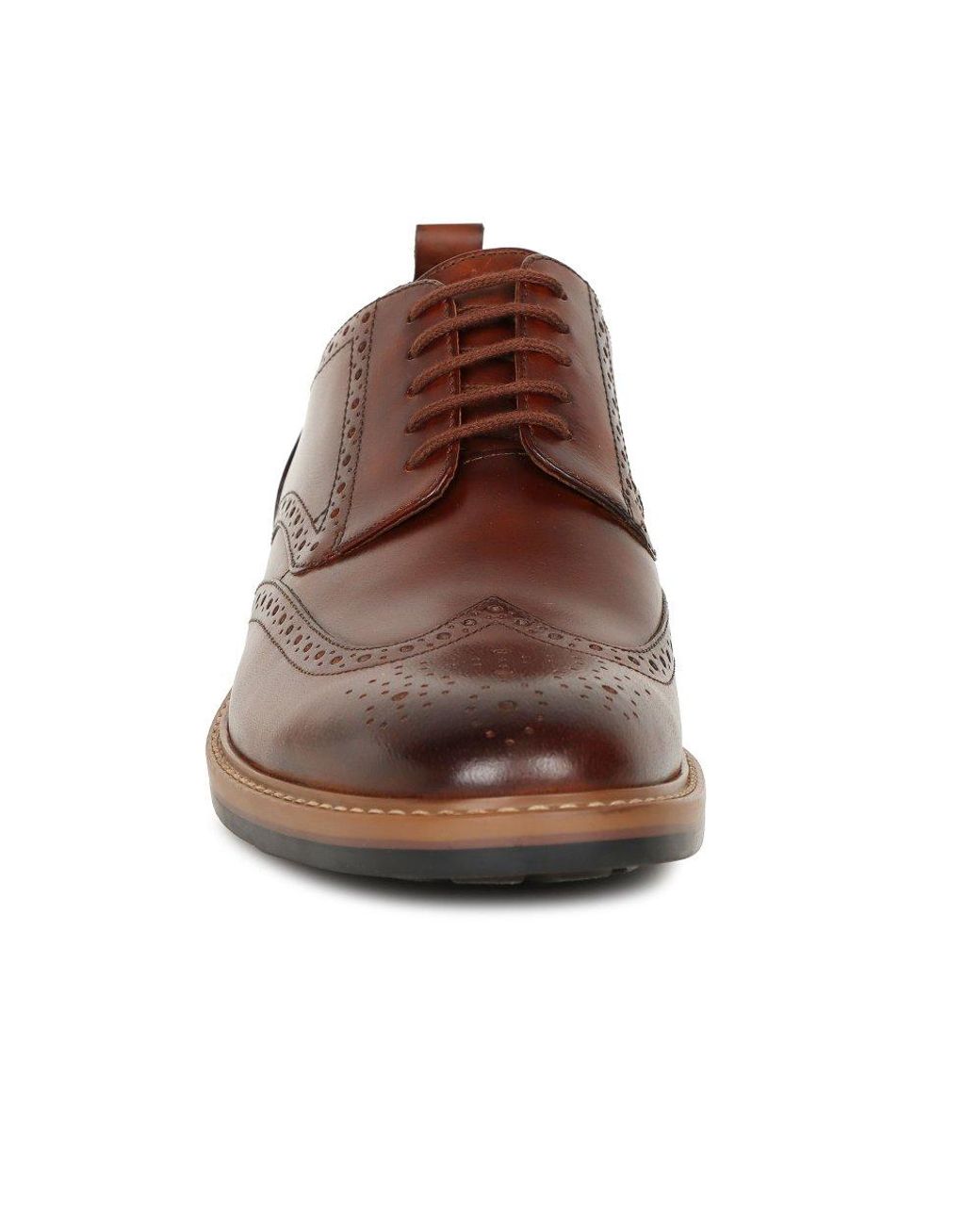 Clarks Brown Aldwin Limit Brogues for men
