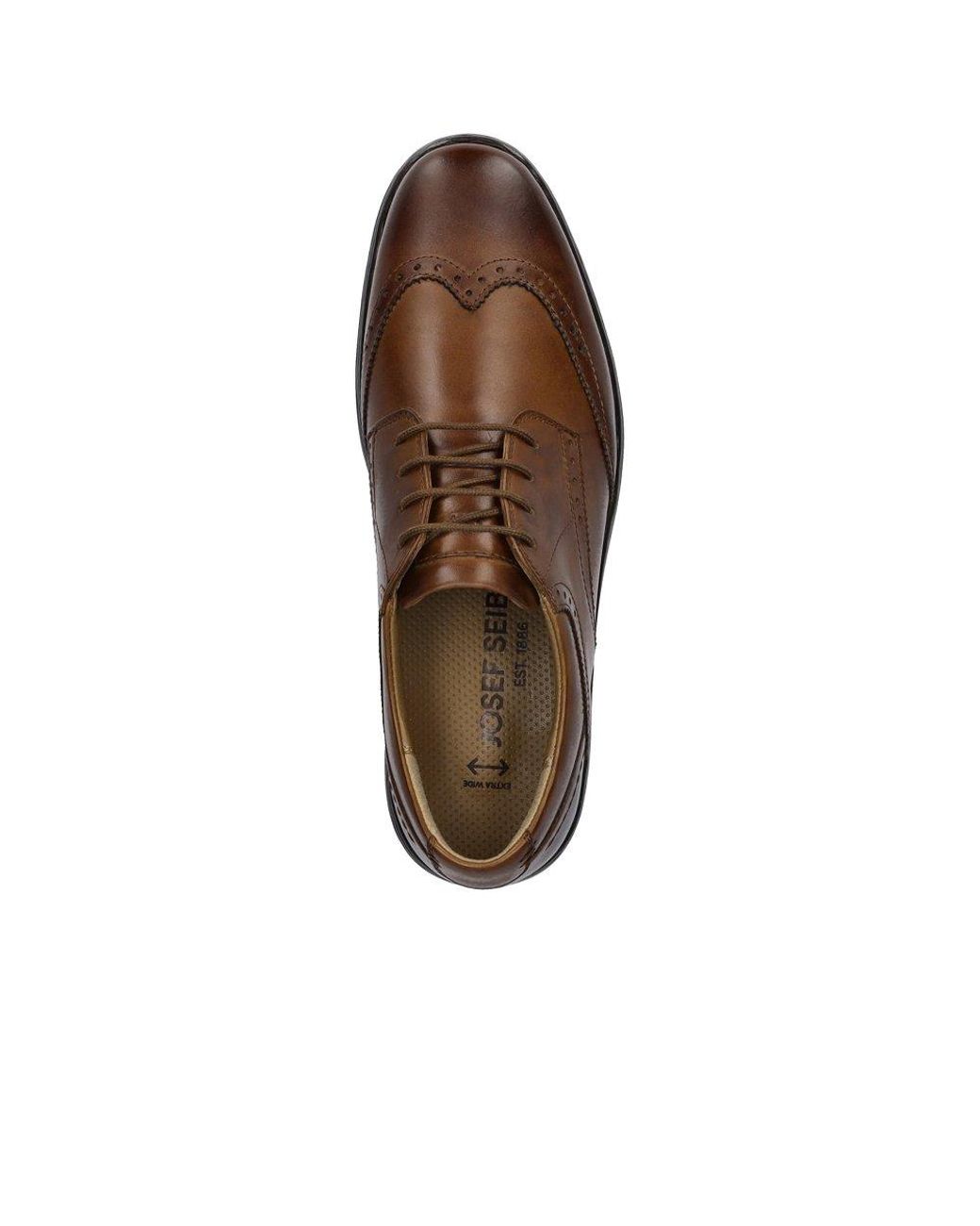 Josef Seibel Brown Alastair 14 Brogues for men