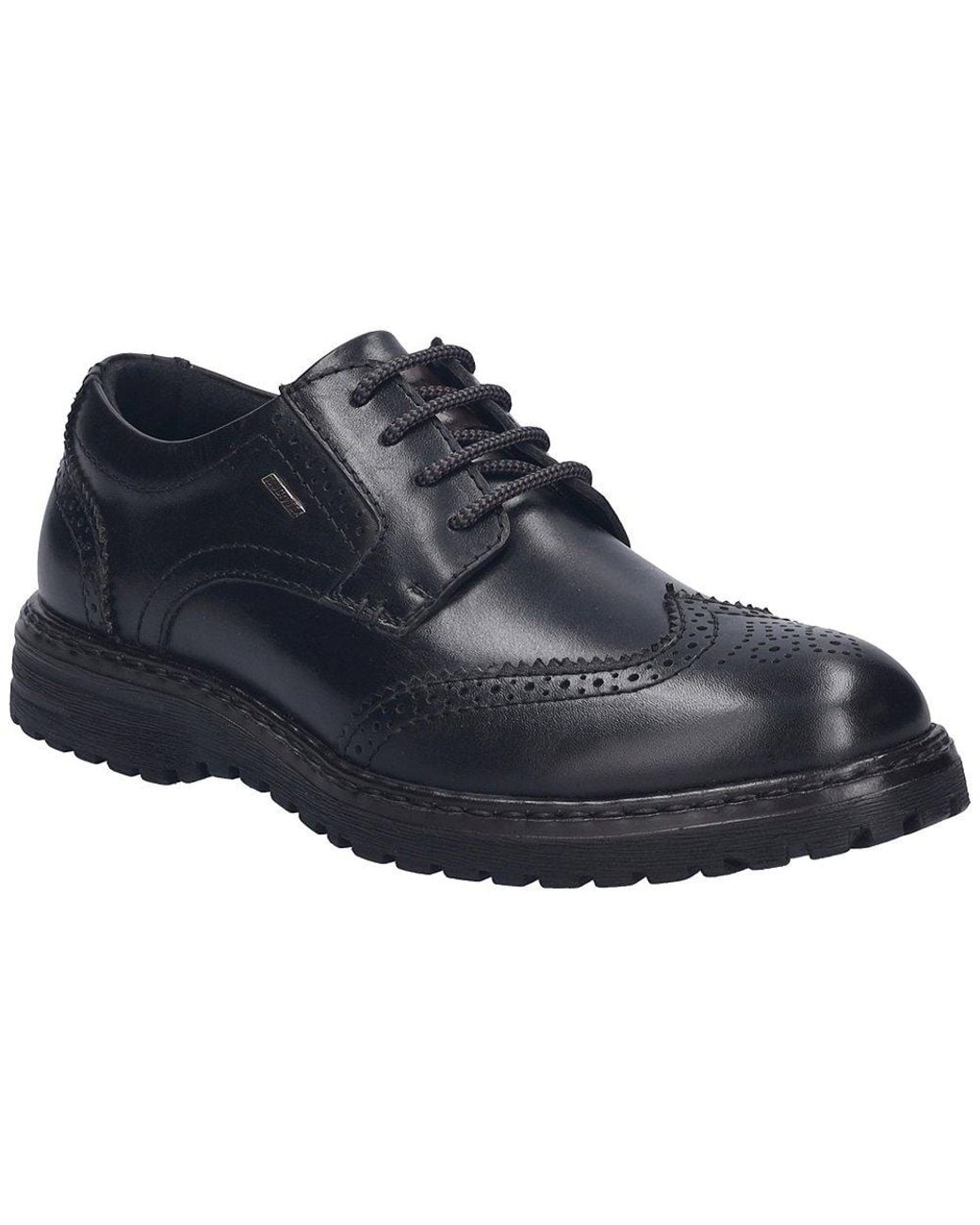 Josef Seibel Blue Erroll 59 Brogue Shoes for men
