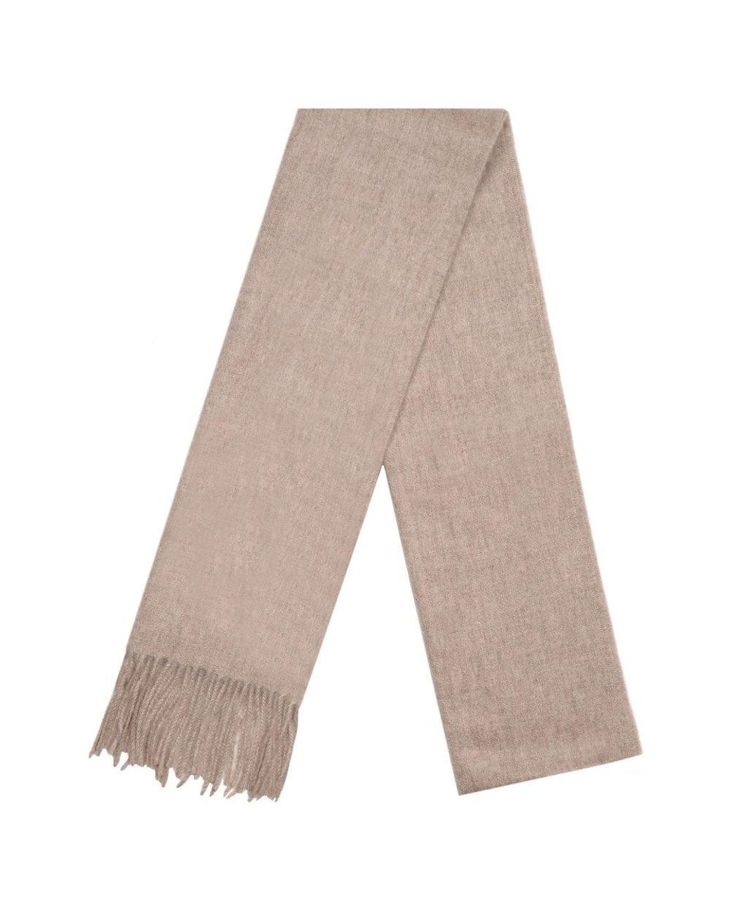 Barbour Multicolor Plain Lambswool Scarf