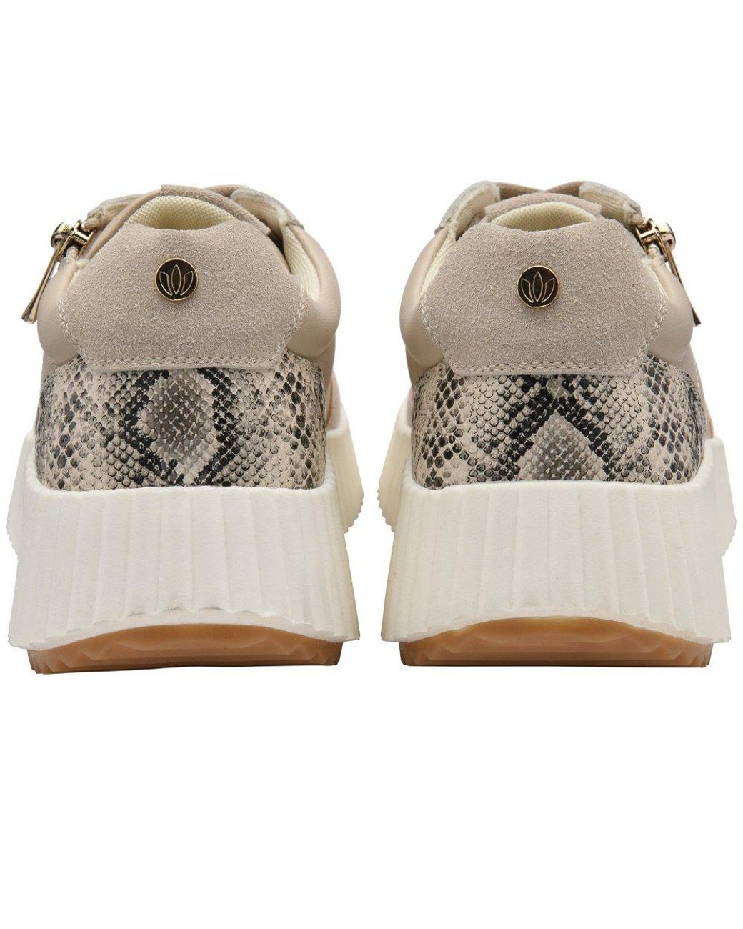 Lotus Gray Paige Trainers