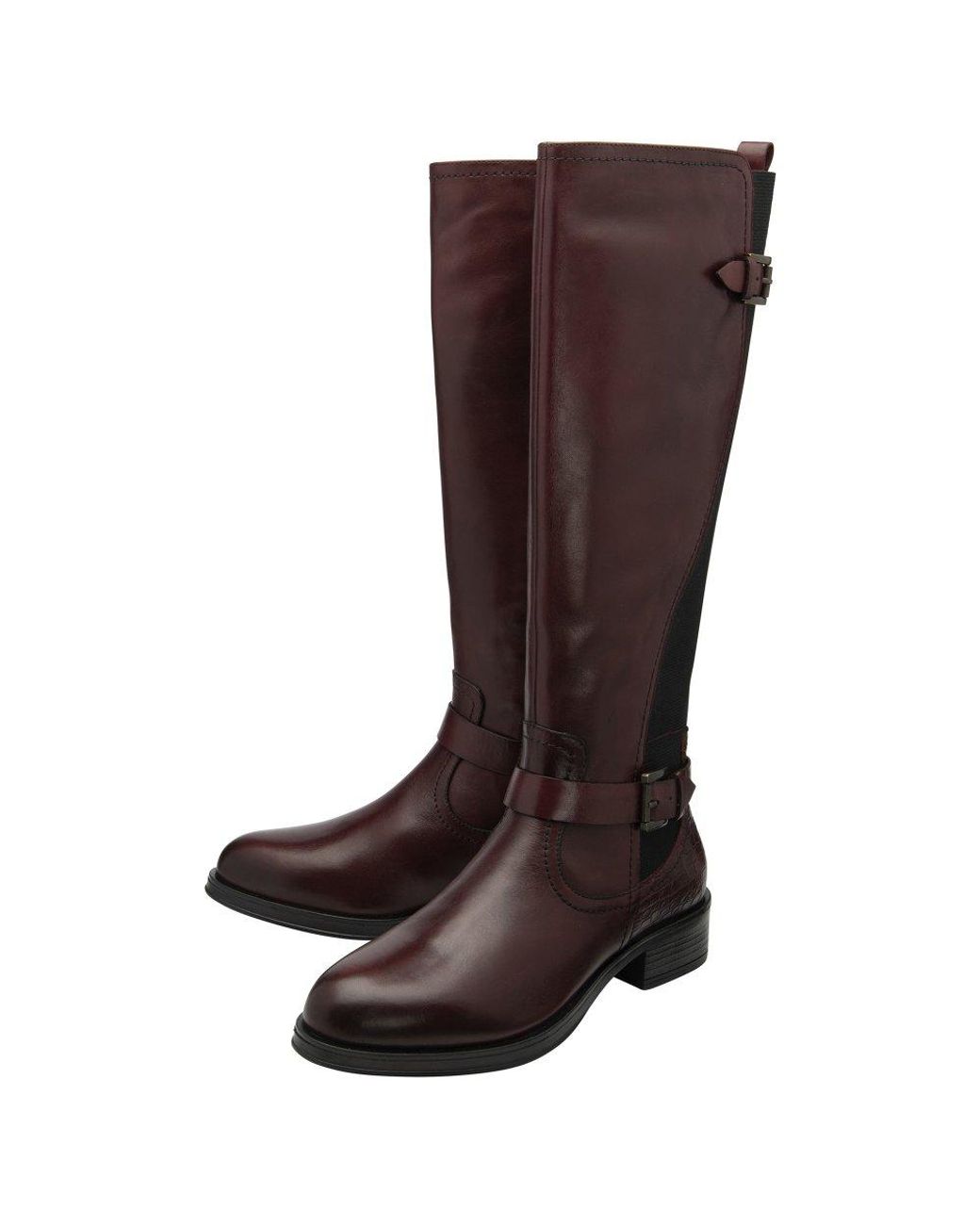 Ravel Brown Eildon Knee High Boots