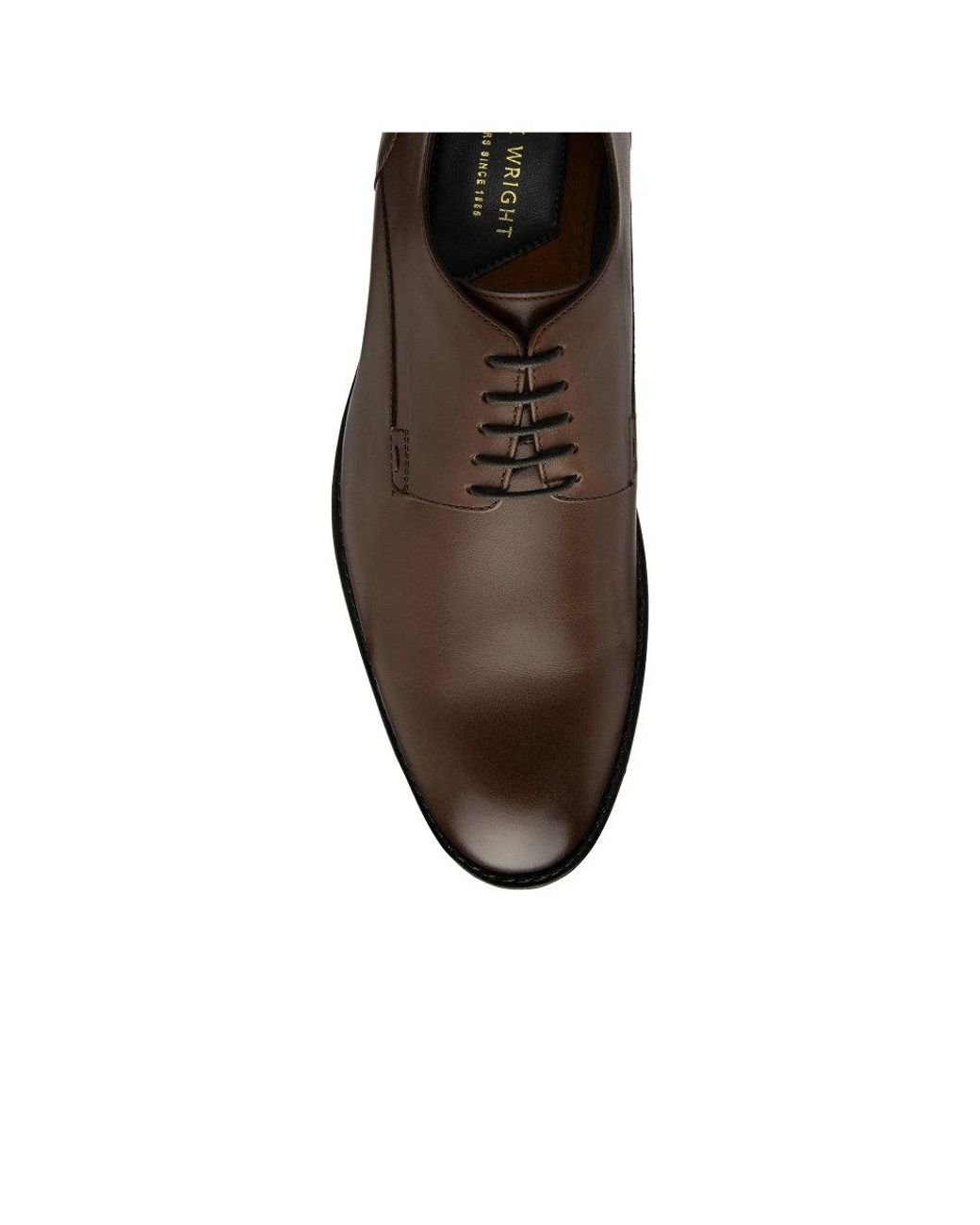 Frank Wright Brown Griffin Ii Derby Shoes for men