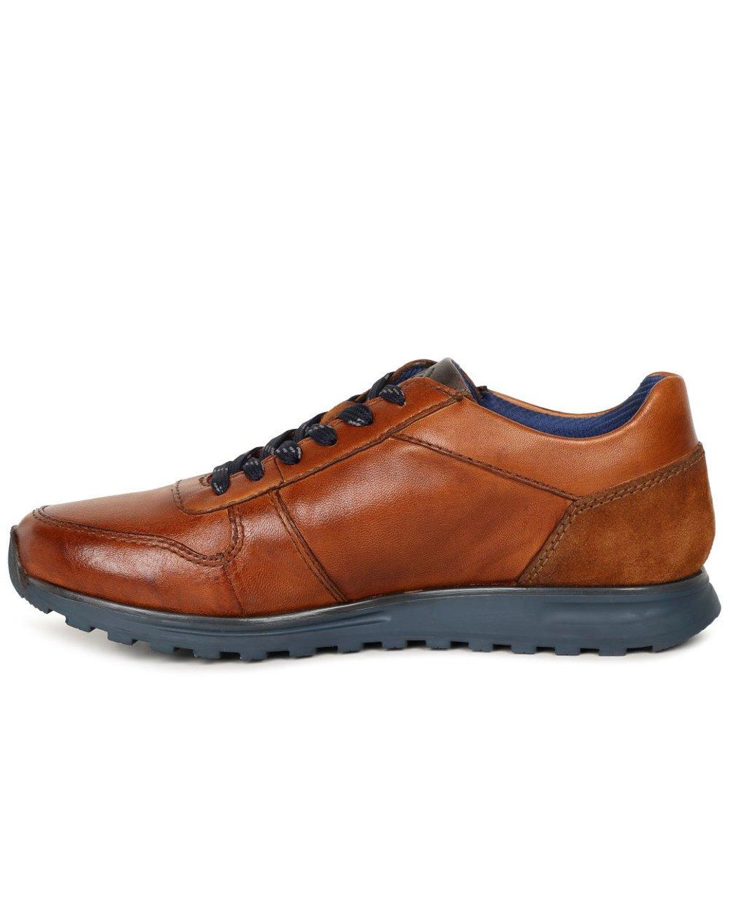 Bugatti Brown Crome Trainers for men