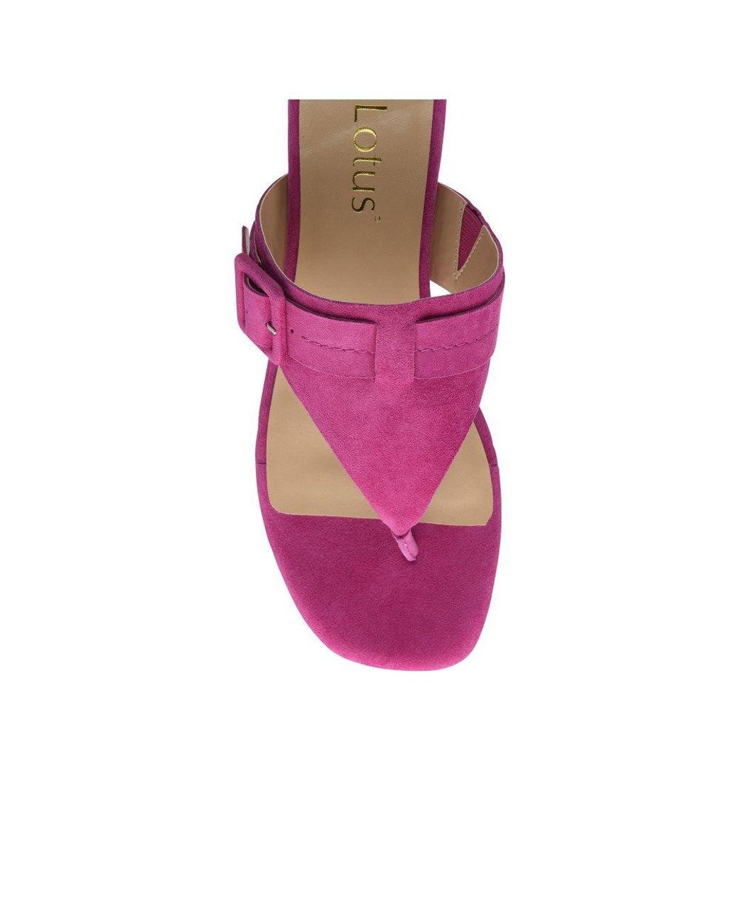 Lotus Purple Vittoria Toe Post Sandals