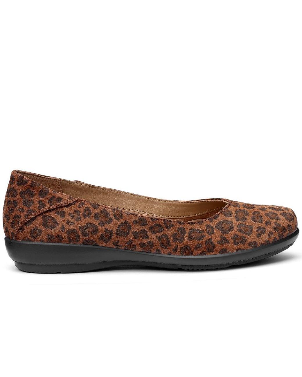 Hotter Brown Birdie Ballet Pumps