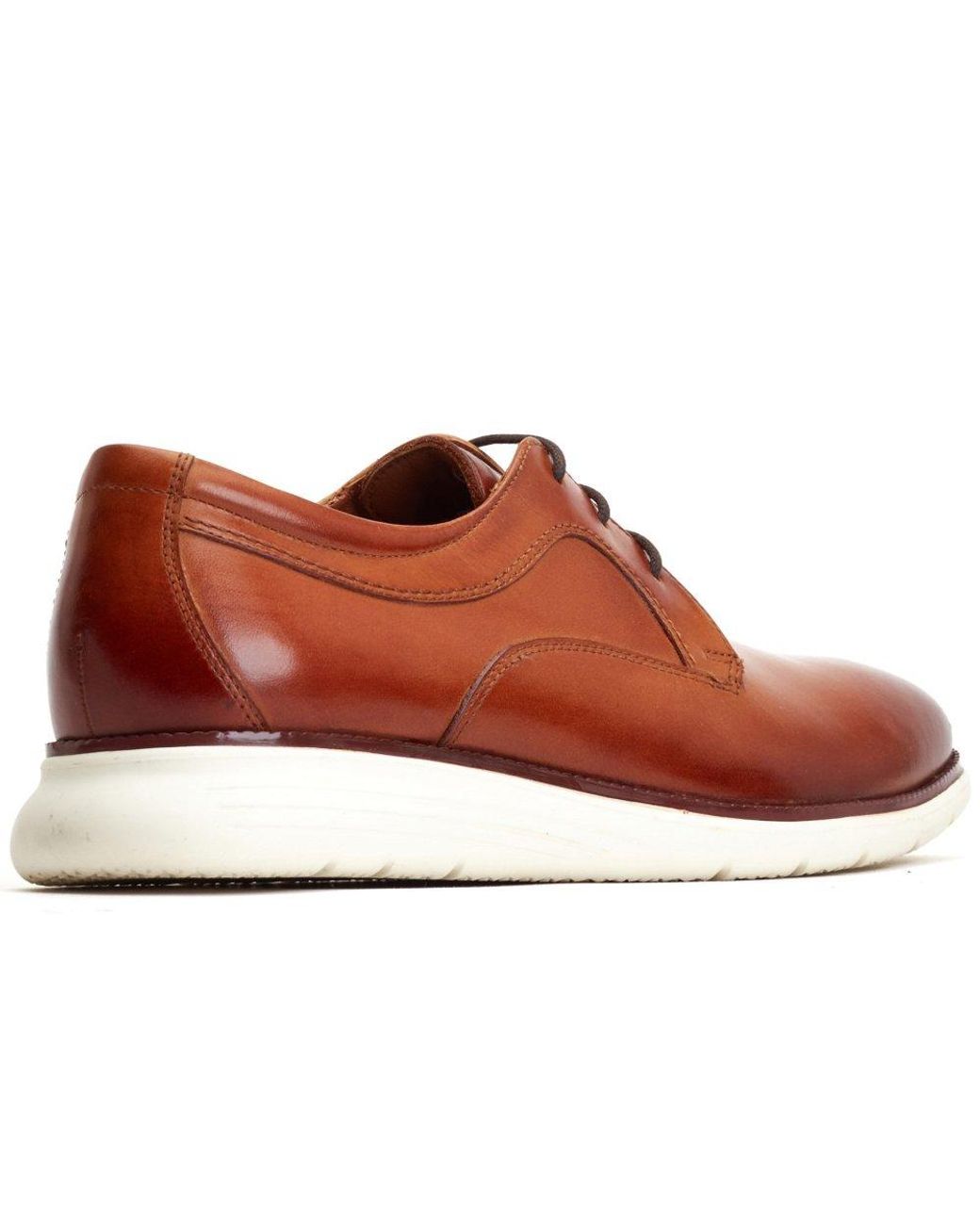Base London Brown Wing Derby Shoes for men