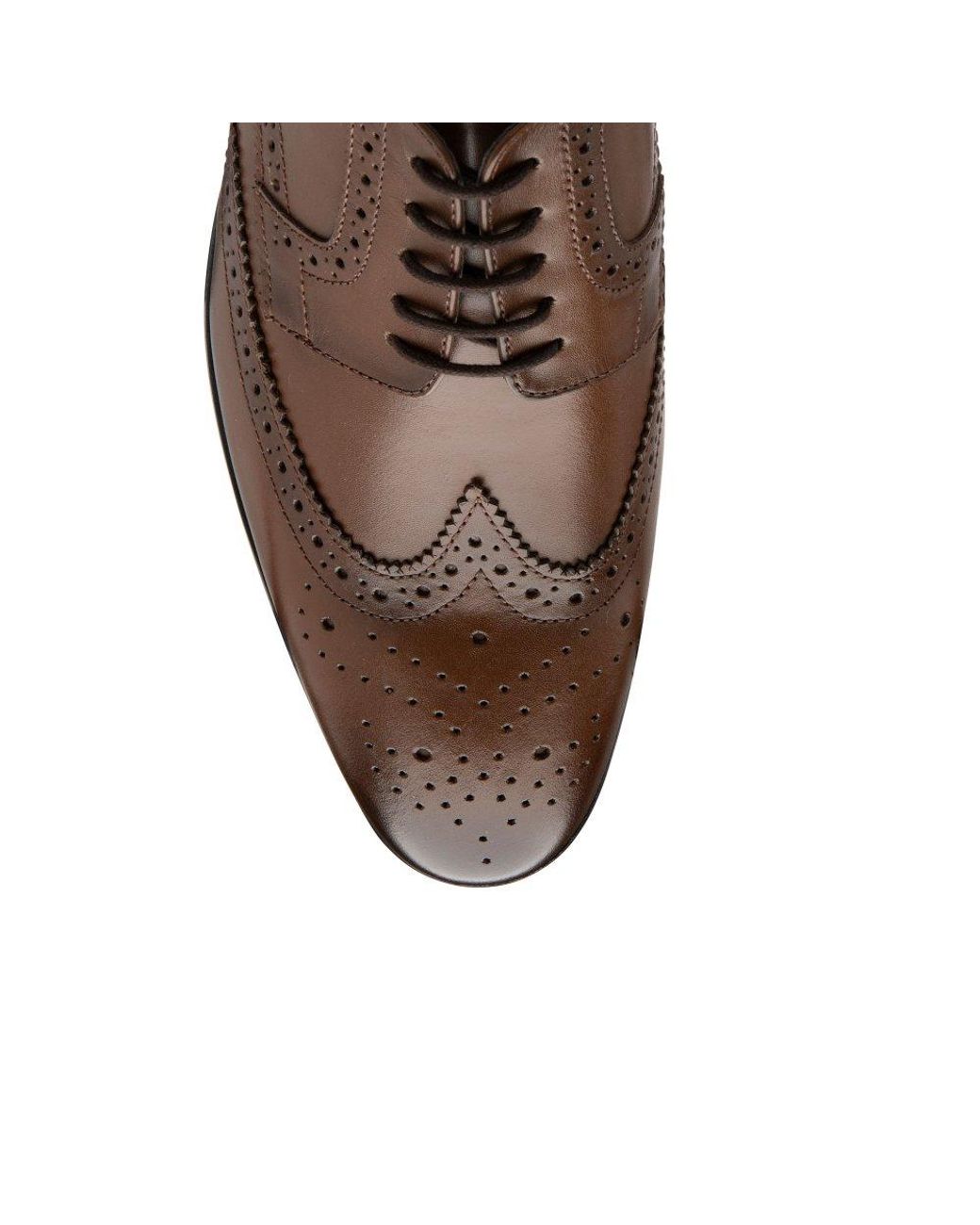 Lotus Brown Easton Brogues for men