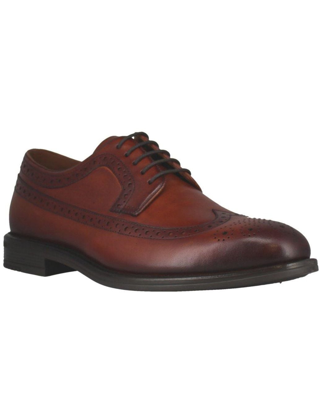 Josef Seibel Brown Cedric 05 Brogues for men